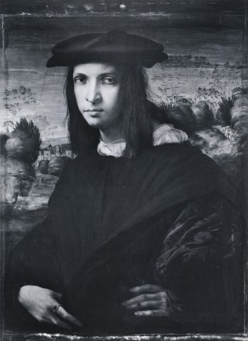 Steinkopf, Walter — Rosso Fiorentino - sec. XVI - Ritratto di giovane uomo — insieme